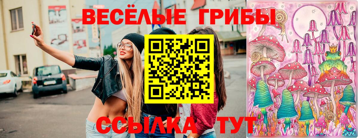 закладка  Псилоцибиновые грибы мухоморы  Вход с VPN  Карачаевск 