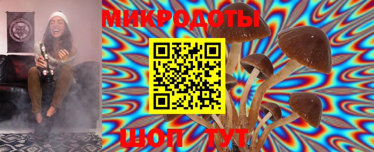 Галлюциногенные грибы Magic Shrooms Карачаевск